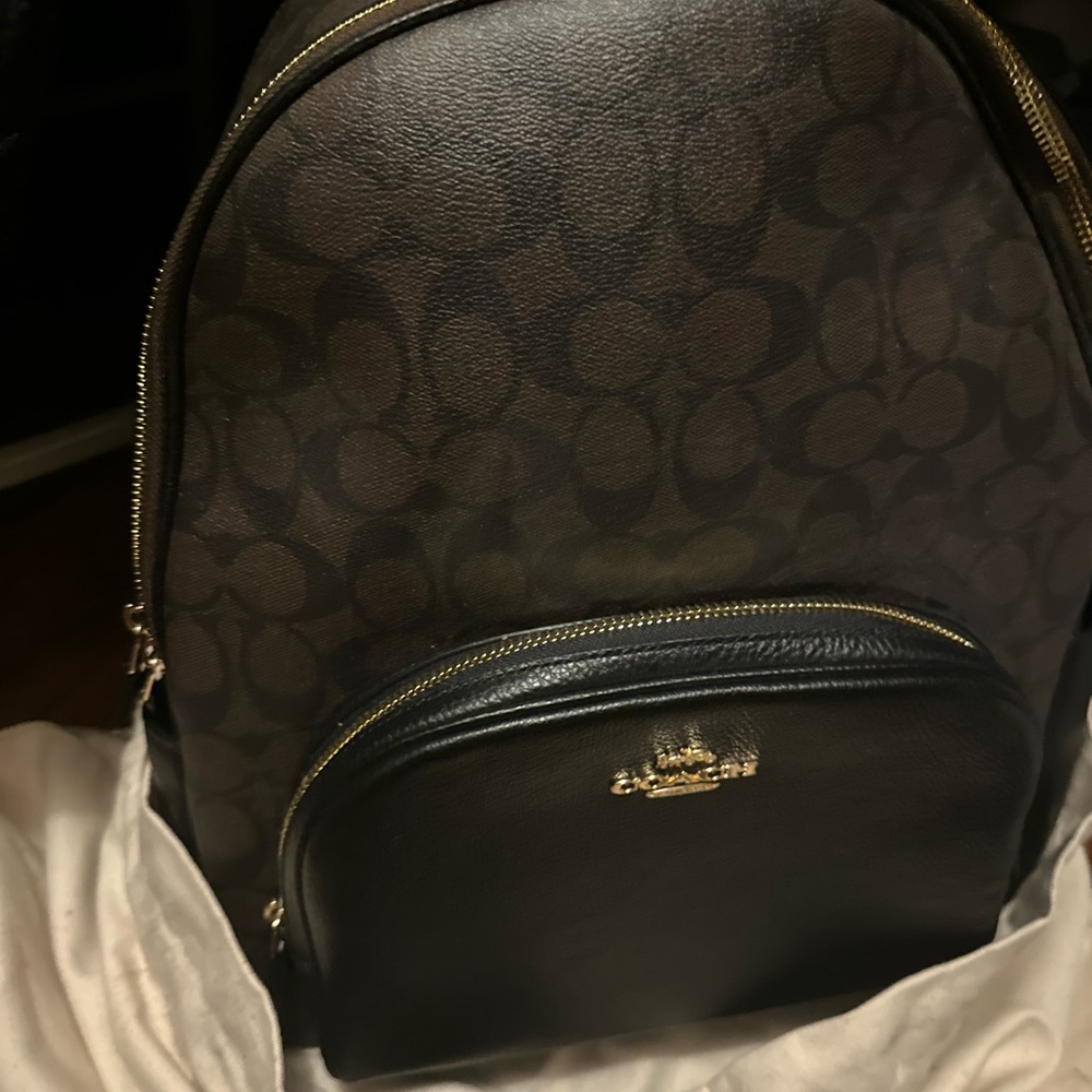 Chic Brown and Black Backpack